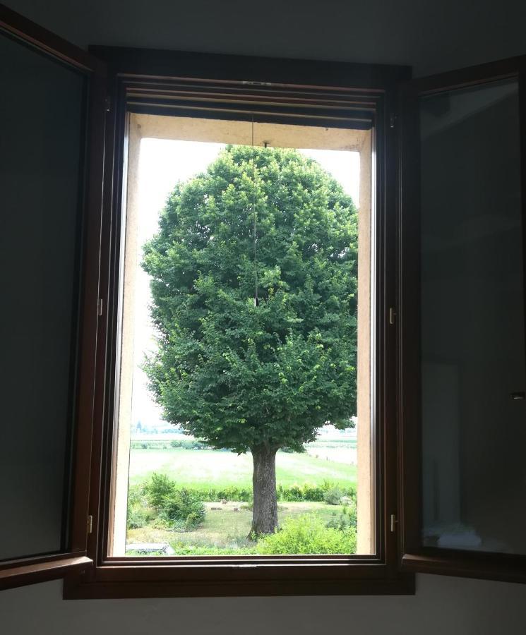 Il Boschetto Di Morgana Bed & Breakfast Castel San Pietro Terme Exterior photo